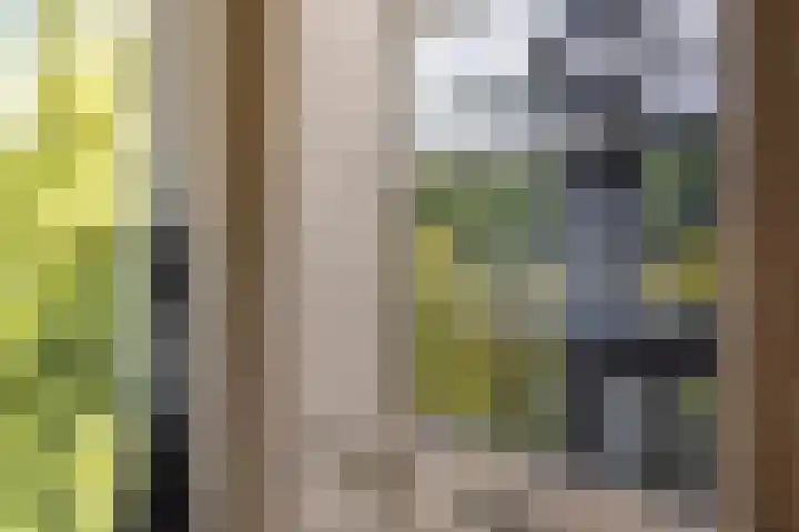 P.C. Hooftlaan 96 Hengelo thumbnail 37