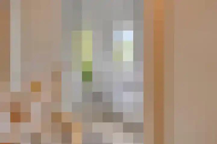 P.C. Hooftlaan 96 Hengelo thumbnail 41