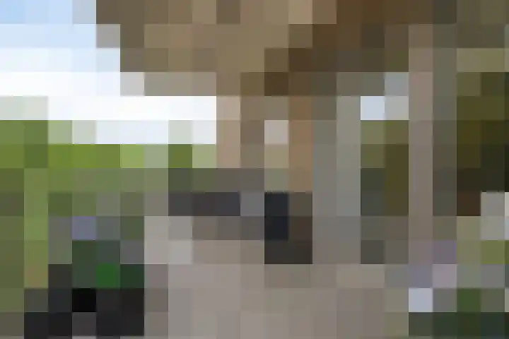P.C. Hooftlaan 96 Hengelo thumbnail 52