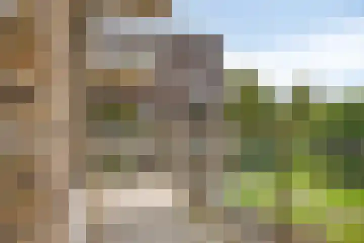 P.C. Hooftlaan 96 Hengelo thumbnail 54