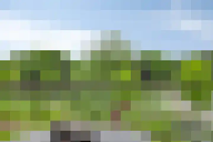 P.C. Hooftlaan 96 Hengelo thumbnail 55