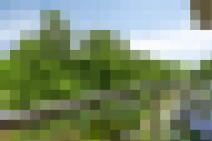 P.C. Hooftlaan 96 Hengelo thumbnail 56