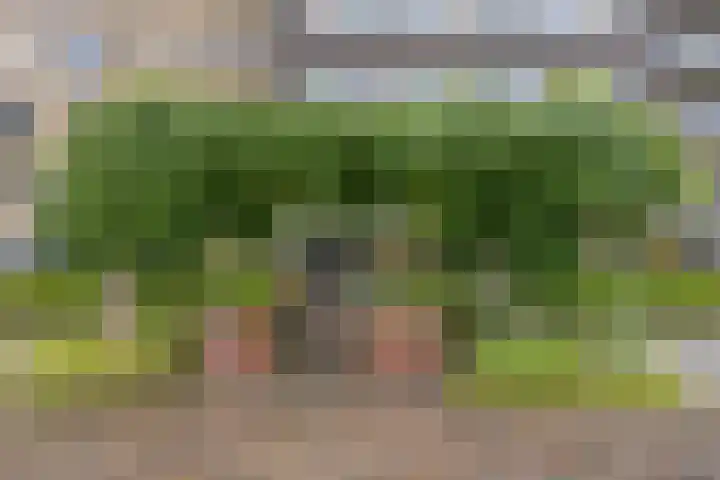 P.C. Hooftlaan 96 Hengelo thumbnail 9