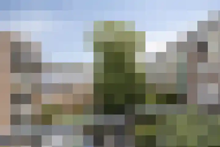 P.C.Hooftplein 16 Rotterdam thumbnail 13