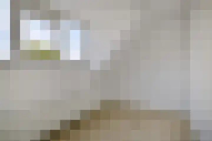 P.C.Hooftplein 16 Rotterdam thumbnail 25