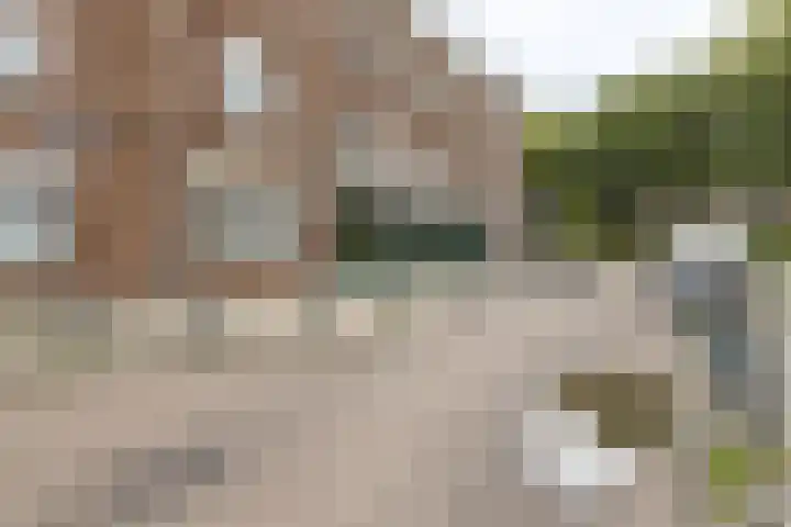 P.C.Hooftplein 16 Rotterdam thumbnail 33