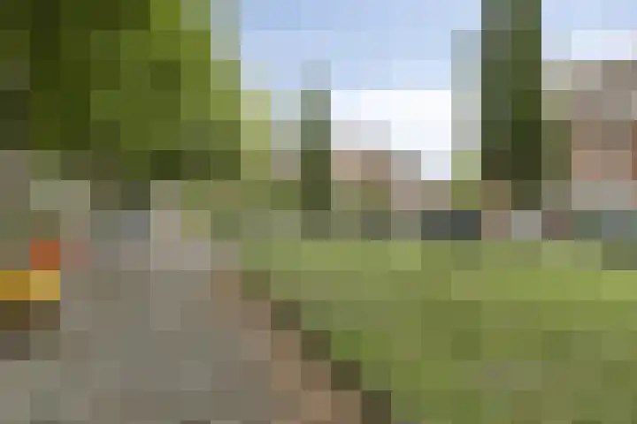 P.C.Hooftplein 16 Rotterdam thumbnail 36