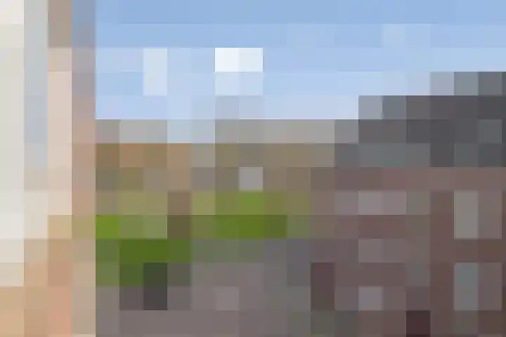 P.C.Hooftplein 37 Rotterdam thumbnail 18