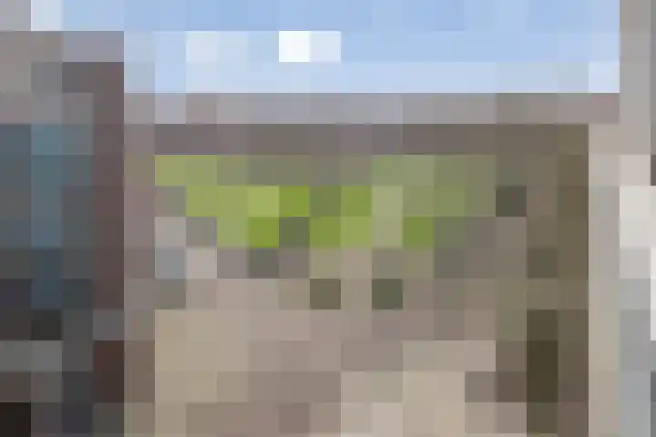 P.C.Hooftplein 37 Rotterdam thumbnail 19