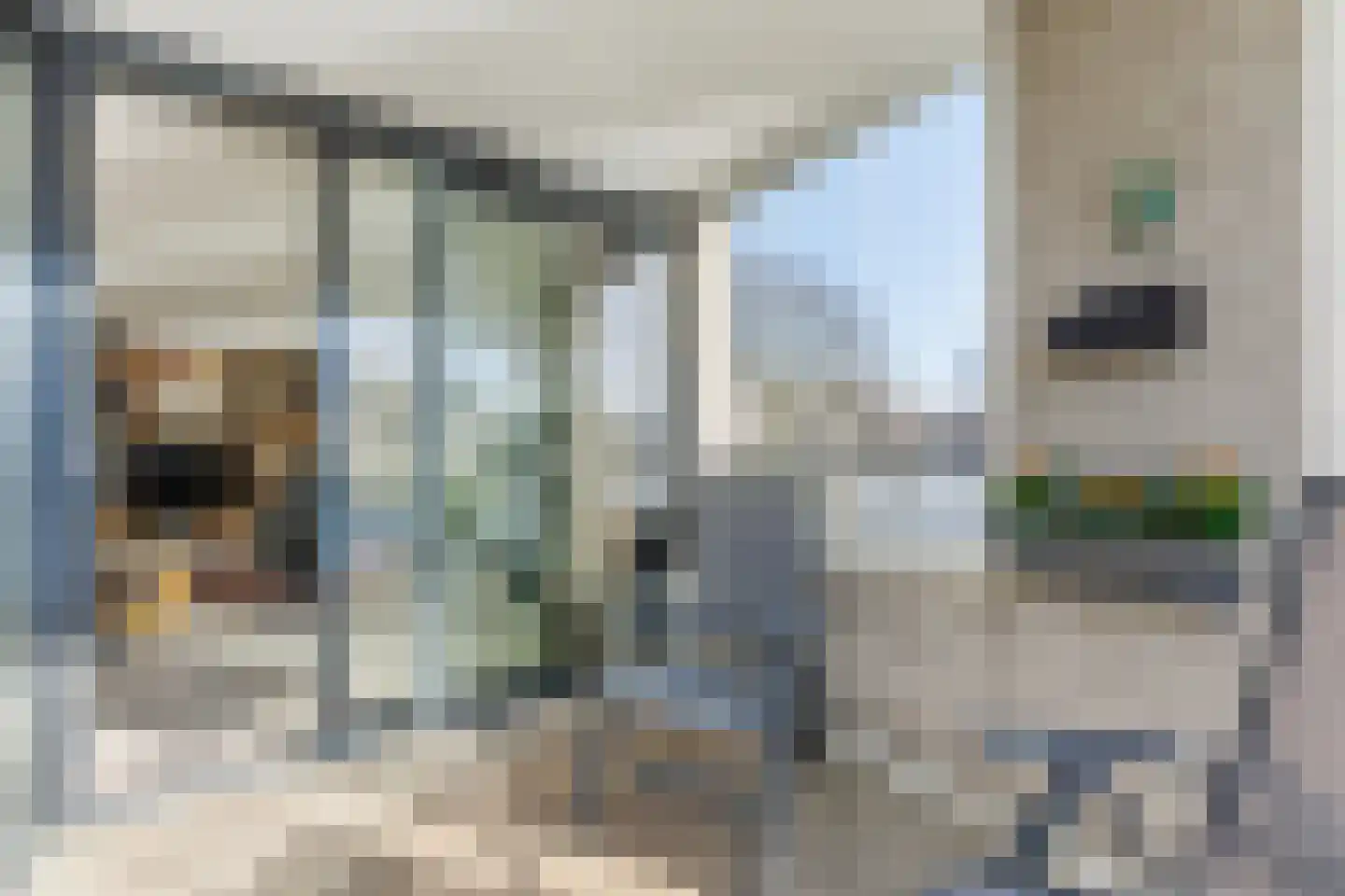 P.C. Hooftsingel 32 Hendrik-Ido-Ambacht thumbnail 18