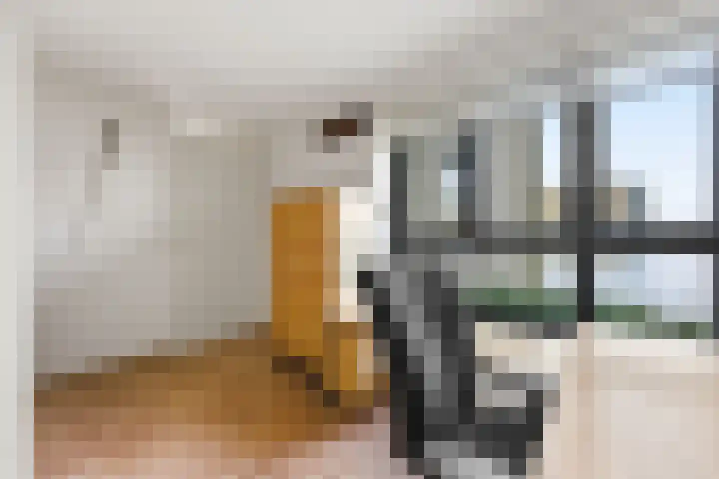P.C. Hooftsingel 32 Hendrik-Ido-Ambacht thumbnail 29
