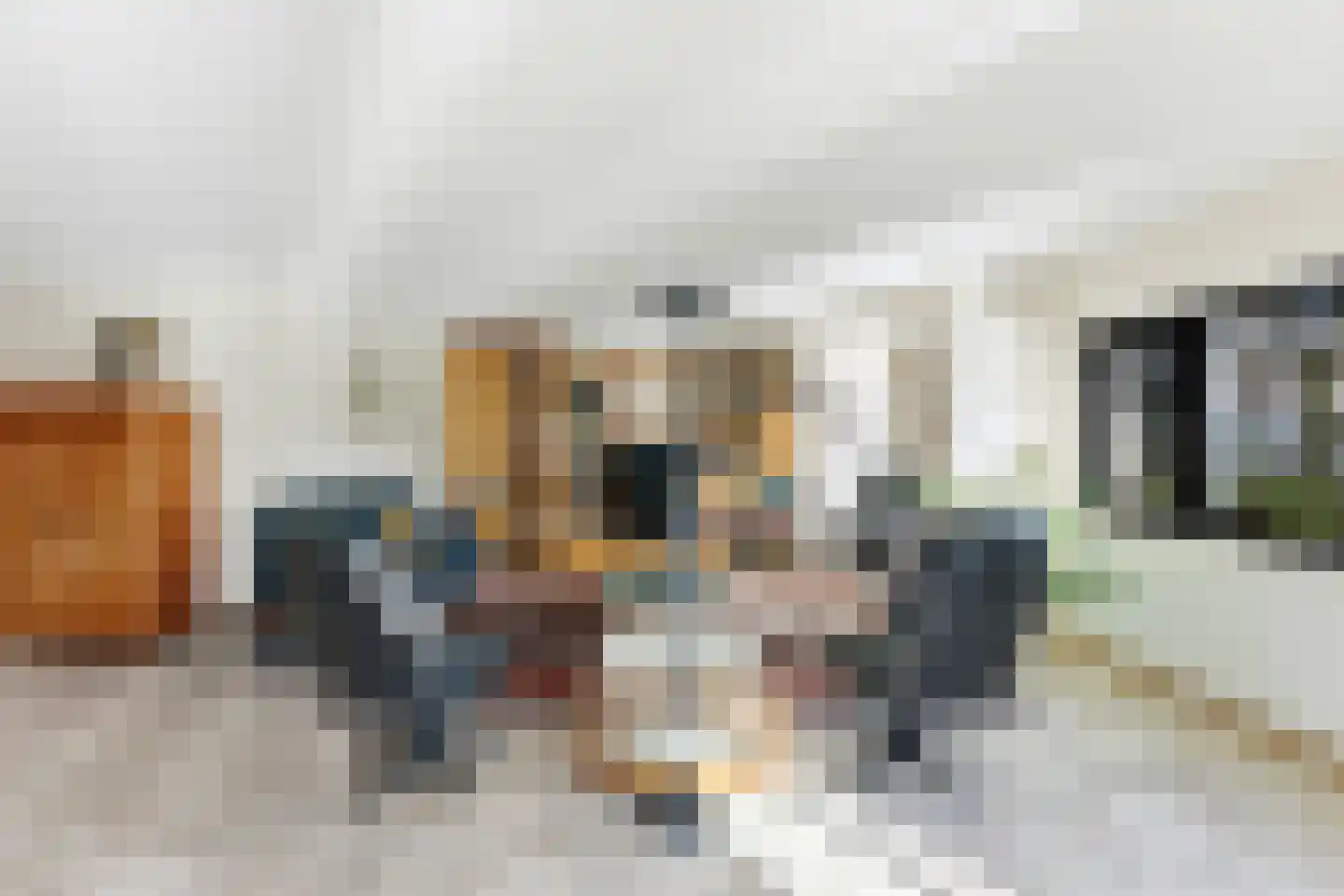 P.C. Hooftsingel 32 Hendrik-Ido-Ambacht thumbnail 8