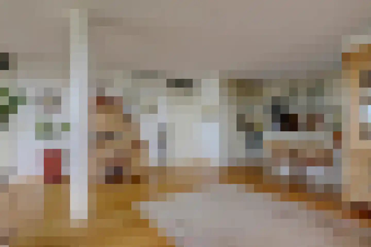 P.C. Hooftsingel 58 Hendrik-Ido-Ambacht thumbnail 19