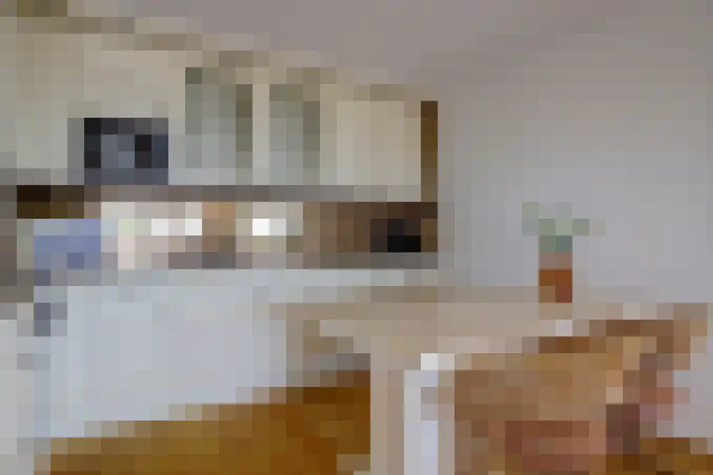 P.C. Hooftsingel 58 Hendrik-Ido-Ambacht thumbnail 23