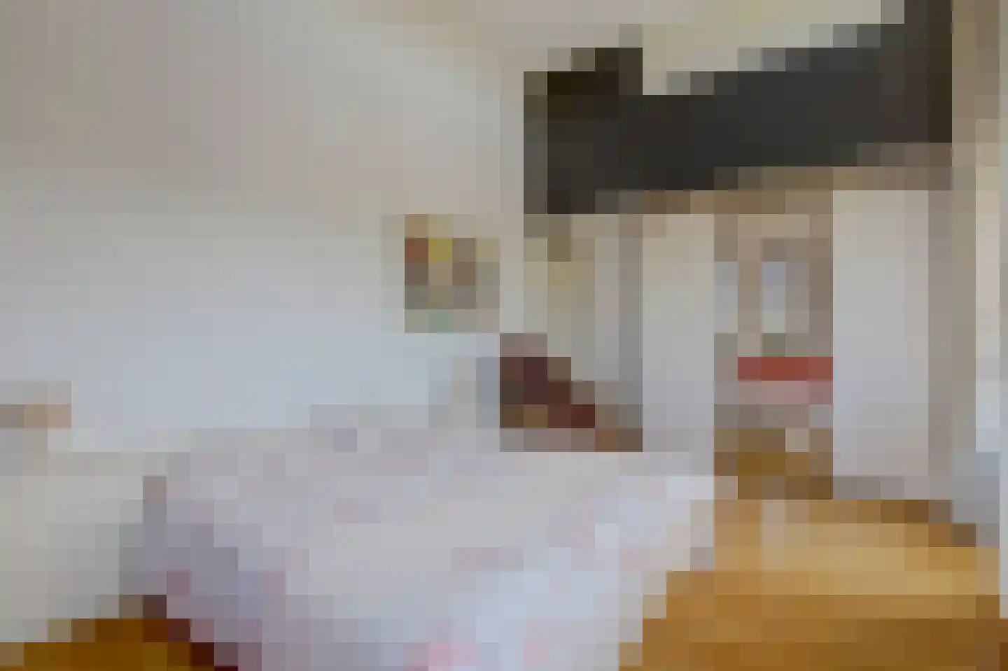 P.C. Hooftsingel 58 Hendrik-Ido-Ambacht thumbnail 26