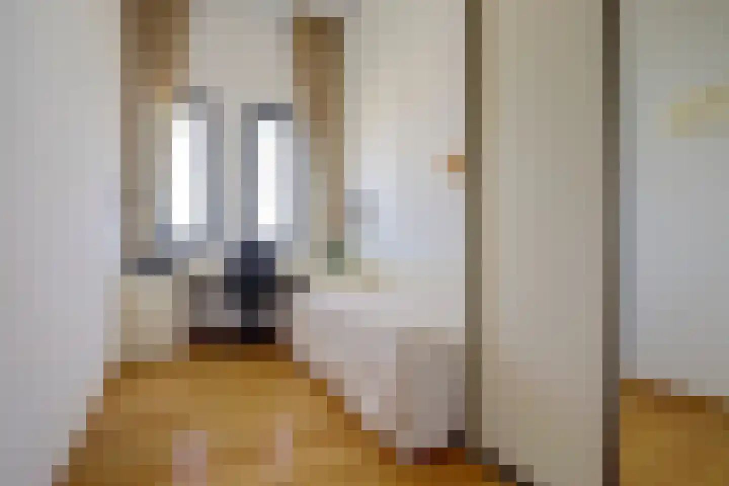 P.C. Hooftsingel 58 Hendrik-Ido-Ambacht thumbnail 27