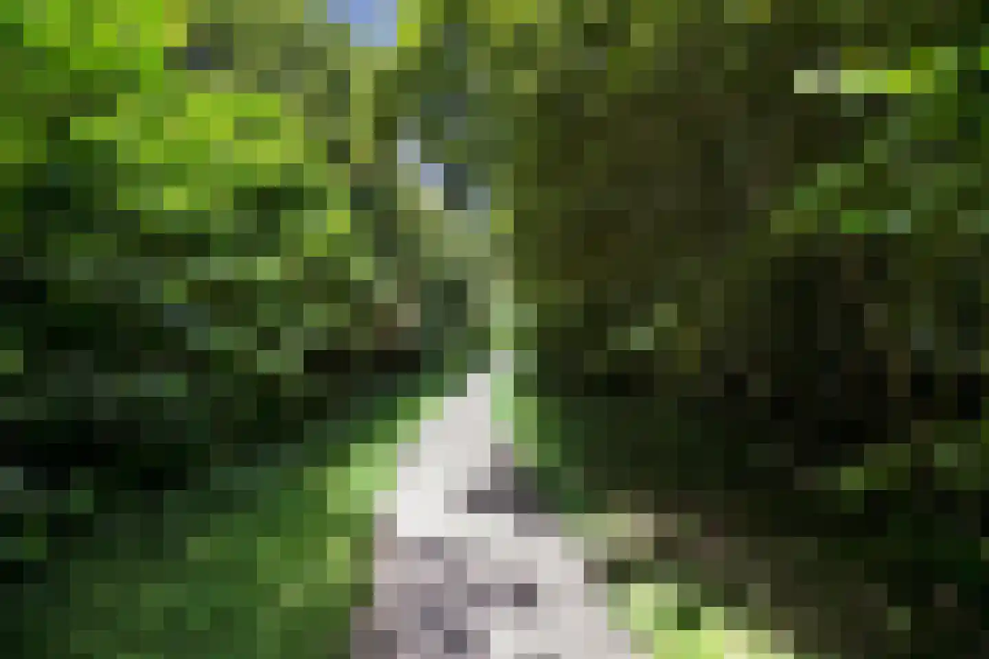 P.C. Hooftsingel 58 Hendrik-Ido-Ambacht thumbnail 39