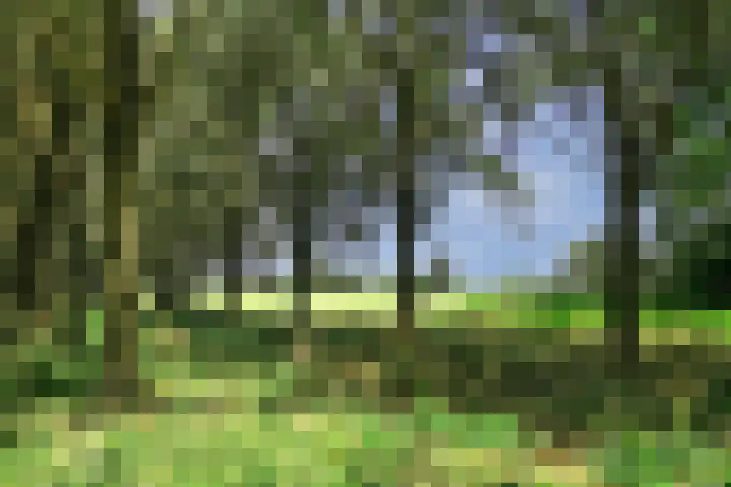 P.C. Hooftsingel 58 Hendrik-Ido-Ambacht thumbnail 40