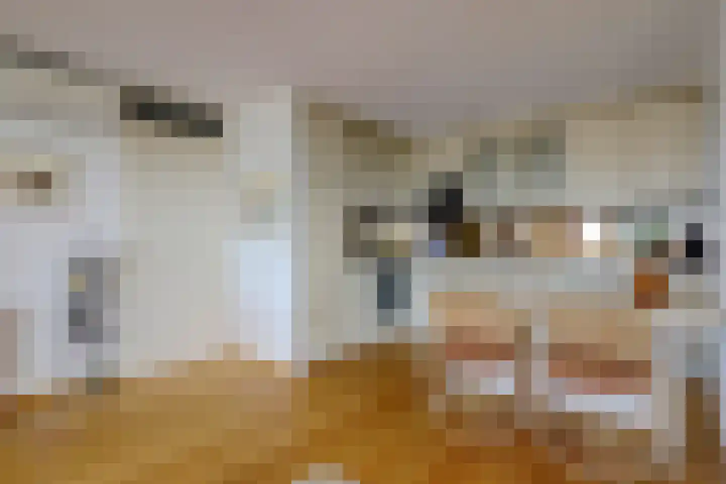 P.C. Hooftsingel 58 Hendrik-Ido-Ambacht thumbnail 9