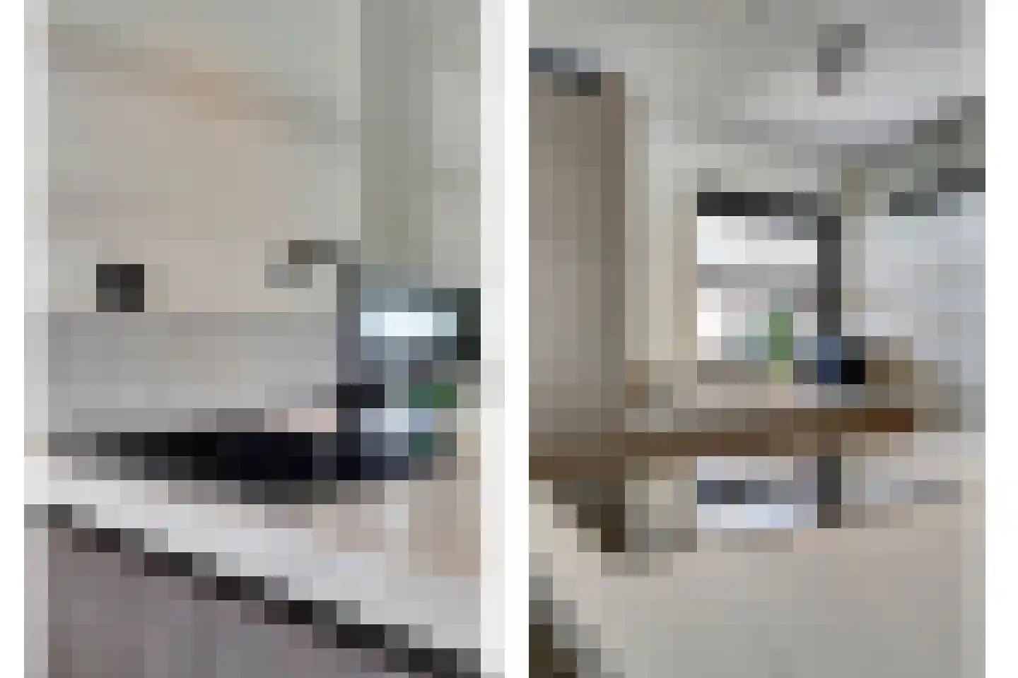 P.C. Hooftsingel 64 Hendrik-Ido-Ambacht thumbnail 12