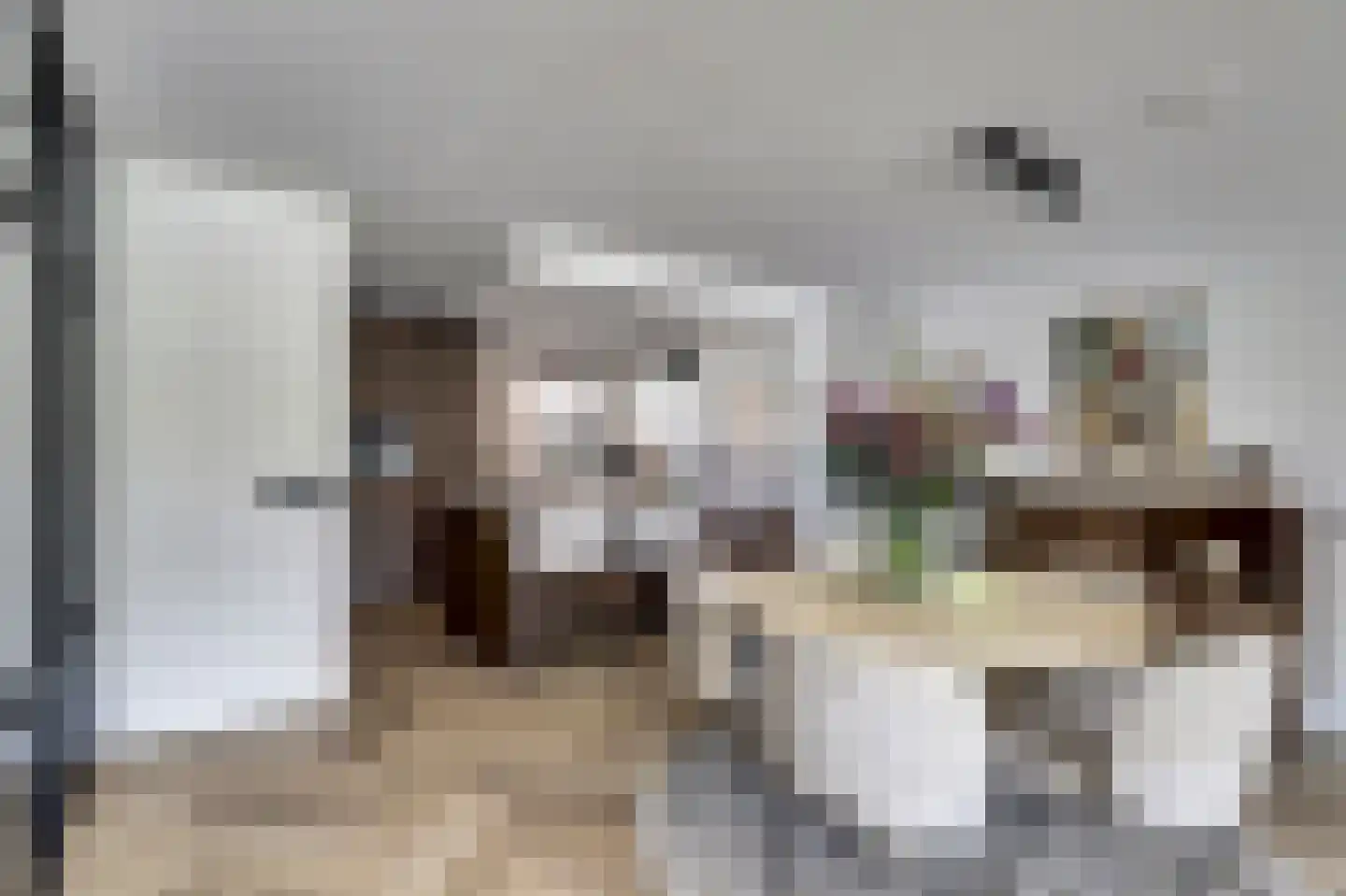 P.C. Hooftsingel 64 Hendrik-Ido-Ambacht thumbnail 14