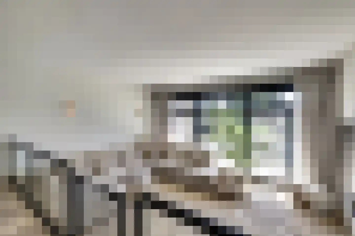 P.C. Hooftsingel 64 Hendrik-Ido-Ambacht thumbnail 15