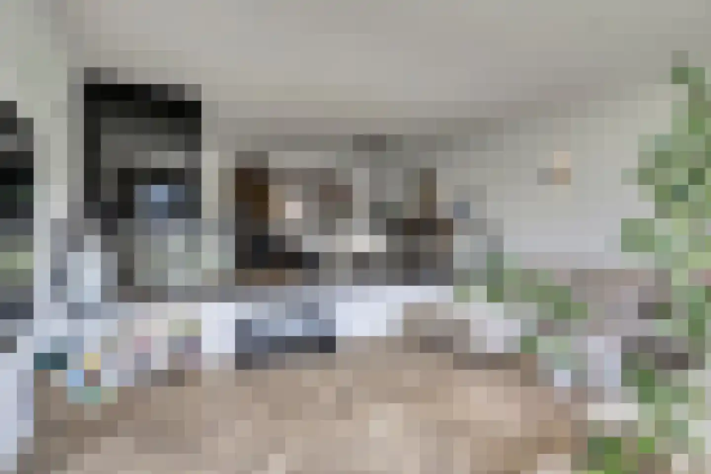 P.C. Hooftsingel 64 Hendrik-Ido-Ambacht thumbnail 17