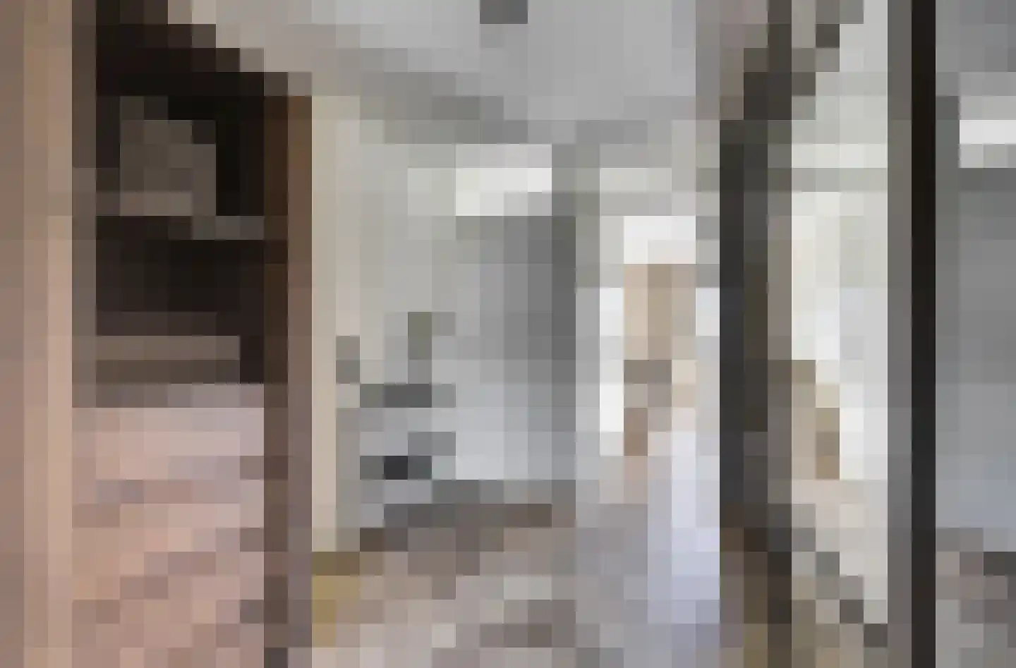 P.C. Hooftsingel 64 Hendrik-Ido-Ambacht thumbnail 18