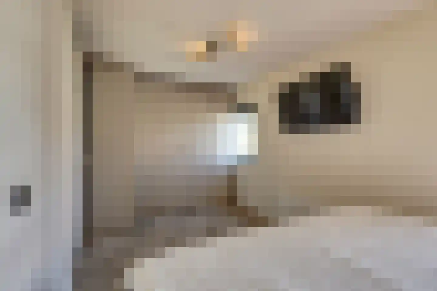 P.C. Hooftsingel 64 Hendrik-Ido-Ambacht thumbnail 21