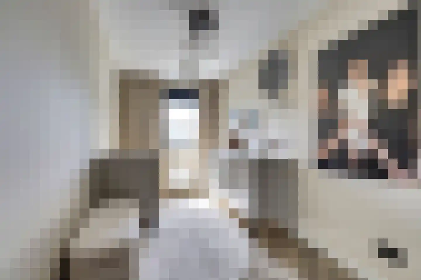 P.C. Hooftsingel 64 Hendrik-Ido-Ambacht thumbnail 22