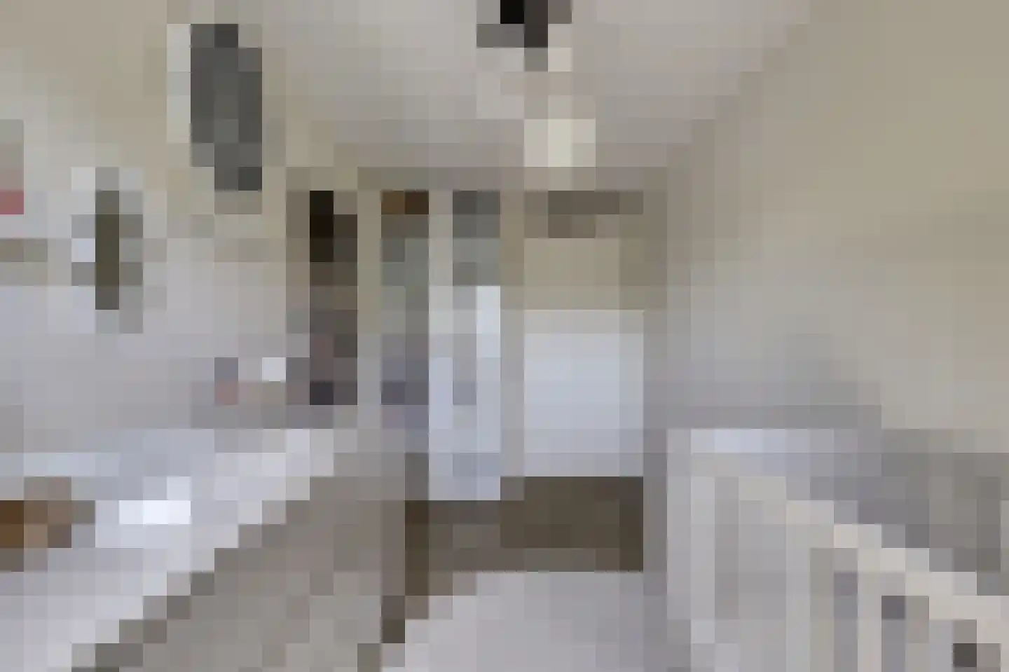 P.C. Hooftsingel 64 Hendrik-Ido-Ambacht thumbnail 23