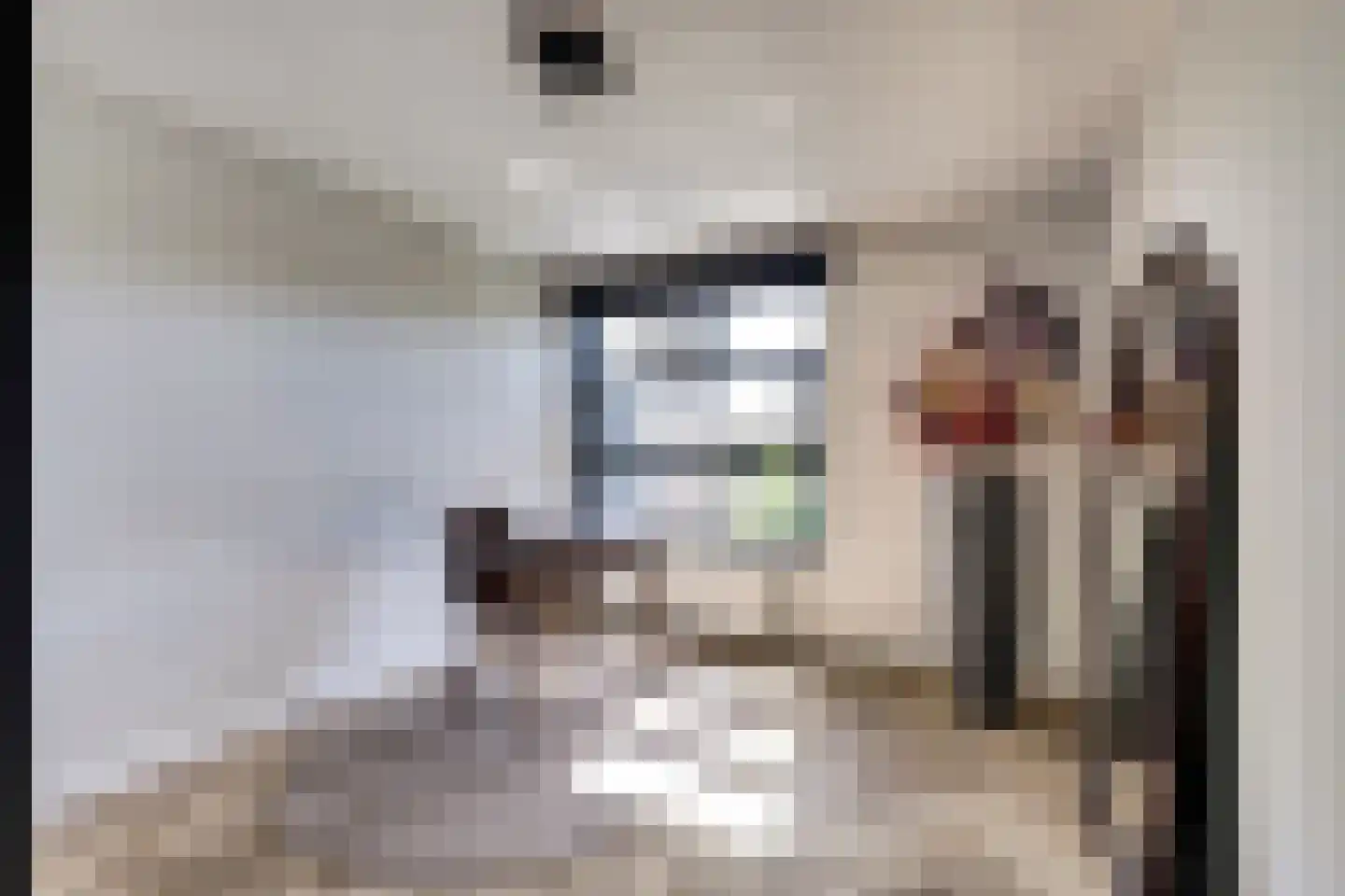 P.C. Hooftsingel 64 Hendrik-Ido-Ambacht thumbnail 24