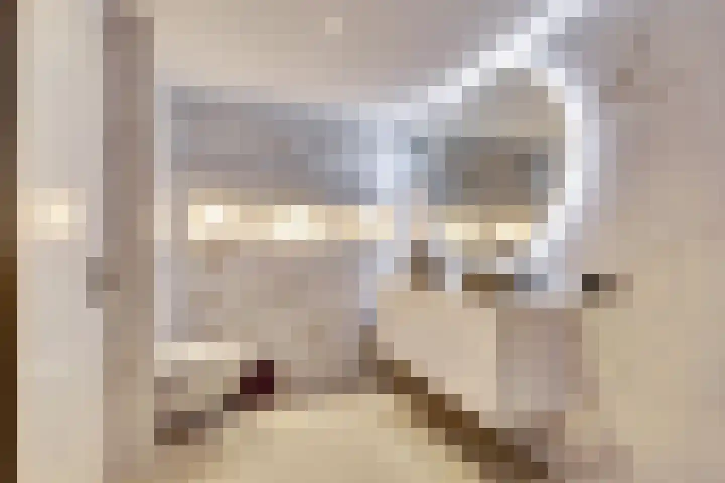 P.C. Hooftsingel 64 Hendrik-Ido-Ambacht thumbnail 27