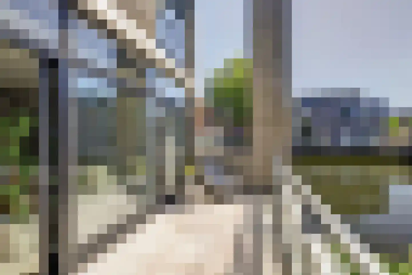 P.C. Hooftsingel 64 Hendrik-Ido-Ambacht thumbnail 37