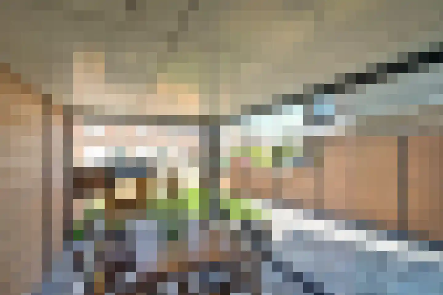P.C. Hooftsingel 64 Hendrik-Ido-Ambacht thumbnail 7