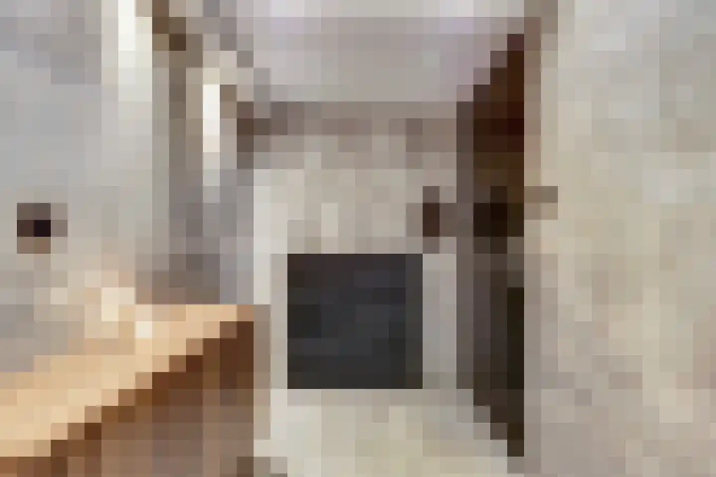P.C. Hooftsingel 64 Hendrik-Ido-Ambacht thumbnail 8