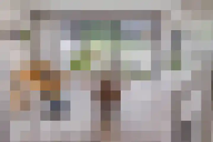 P.C. Hooftsingel 66 Hendrik-Ido-Ambacht thumbnail 10