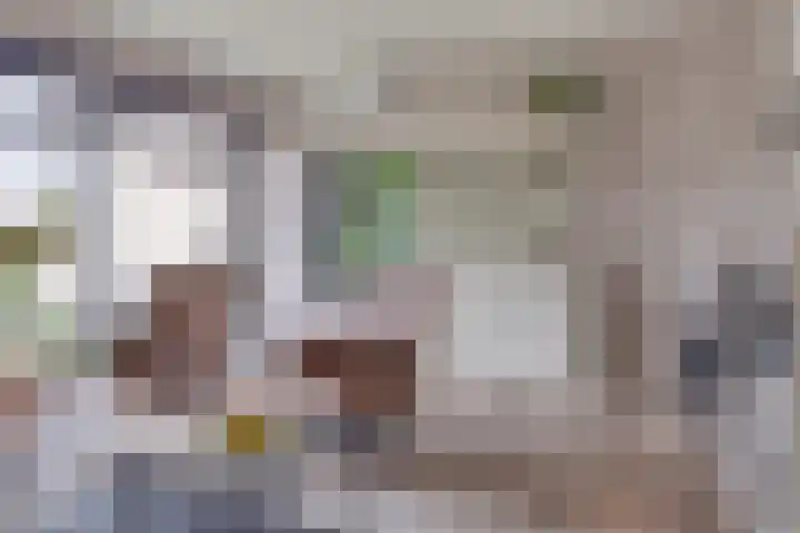 P.C. Hooftsingel 66 Hendrik-Ido-Ambacht thumbnail 11