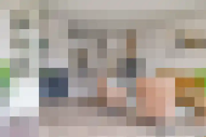 P.C. Hooftsingel 66 Hendrik-Ido-Ambacht thumbnail 12
