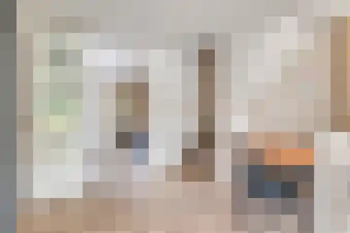 P.C. Hooftsingel 66 Hendrik-Ido-Ambacht thumbnail 13
