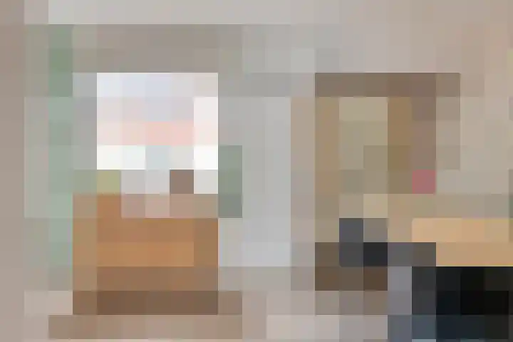 P.C. Hooftsingel 66 Hendrik-Ido-Ambacht thumbnail 14
