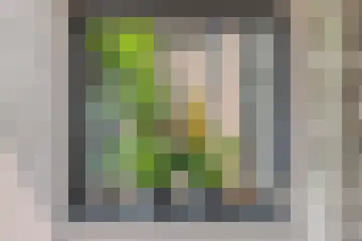 P.C. Hooftsingel 66 Hendrik-Ido-Ambacht thumbnail 15