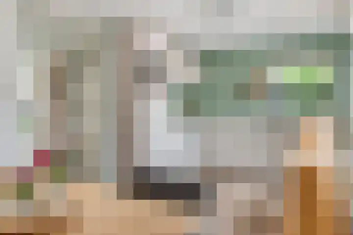 P.C. Hooftsingel 66 Hendrik-Ido-Ambacht thumbnail 18
