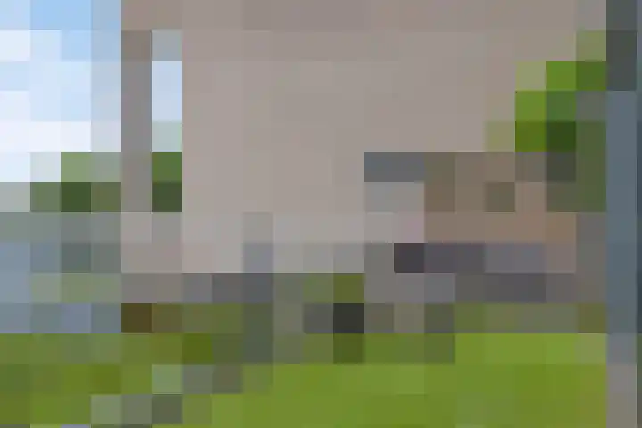 P.C. Hooftsingel 66 Hendrik-Ido-Ambacht thumbnail 19