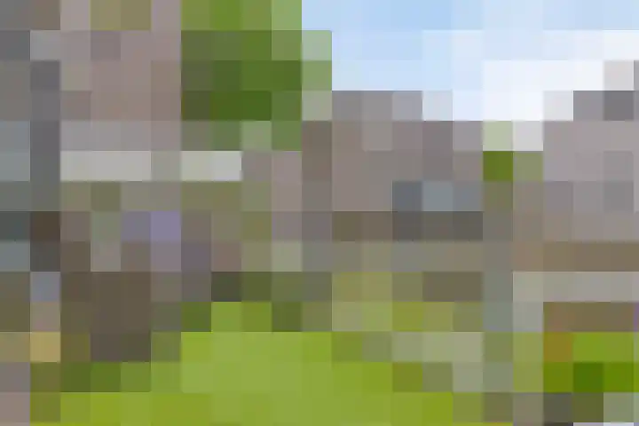 P.C. Hooftsingel 66 Hendrik-Ido-Ambacht thumbnail 20