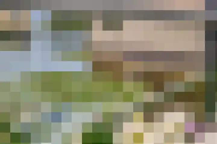 P.C. Hooftsingel 66 Hendrik-Ido-Ambacht thumbnail 21