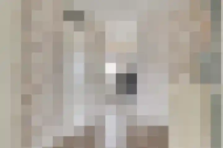 P.C. Hooftsingel 66 Hendrik-Ido-Ambacht thumbnail 22