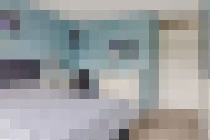 P.C. Hooftsingel 66 Hendrik-Ido-Ambacht thumbnail 25