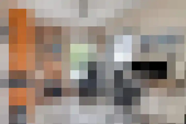 P.C. Hooftsingel 66 Hendrik-Ido-Ambacht thumbnail 26