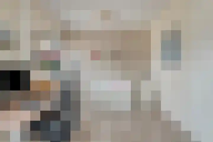 P.C. Hooftsingel 66 Hendrik-Ido-Ambacht thumbnail 27